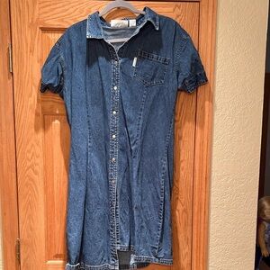 Denim Button-Up Dress